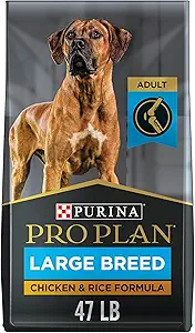 Best Dog Foods for Great Danes